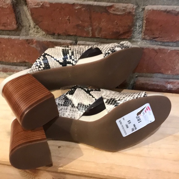 Cole Hahn Python Dakota Criss Cross Mule Sandal 🖤👡 - Picture 8 of 8